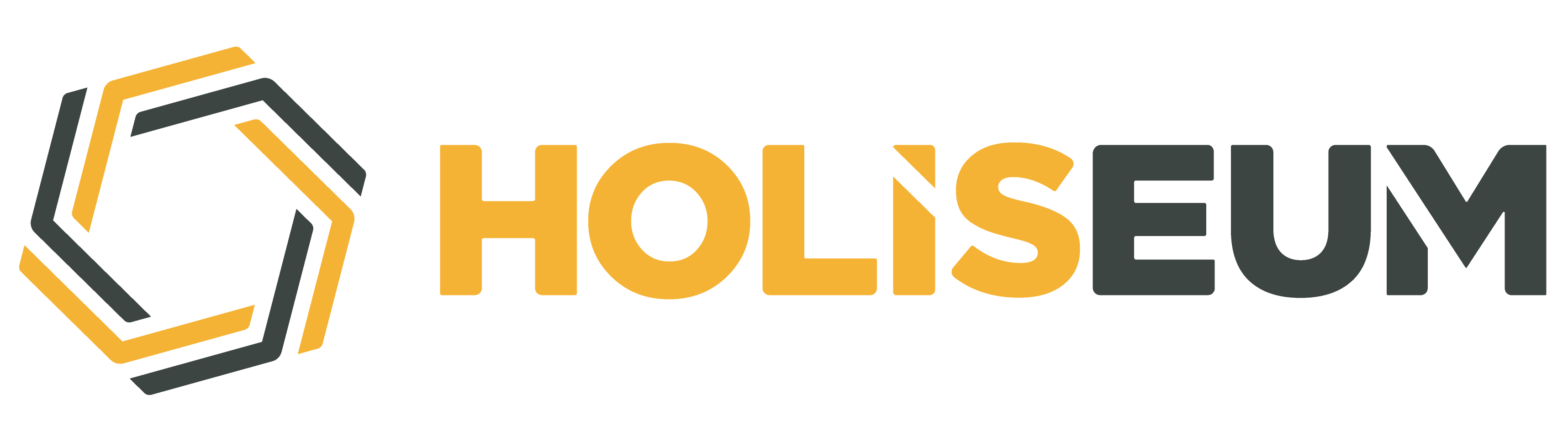 Logo Holiseum